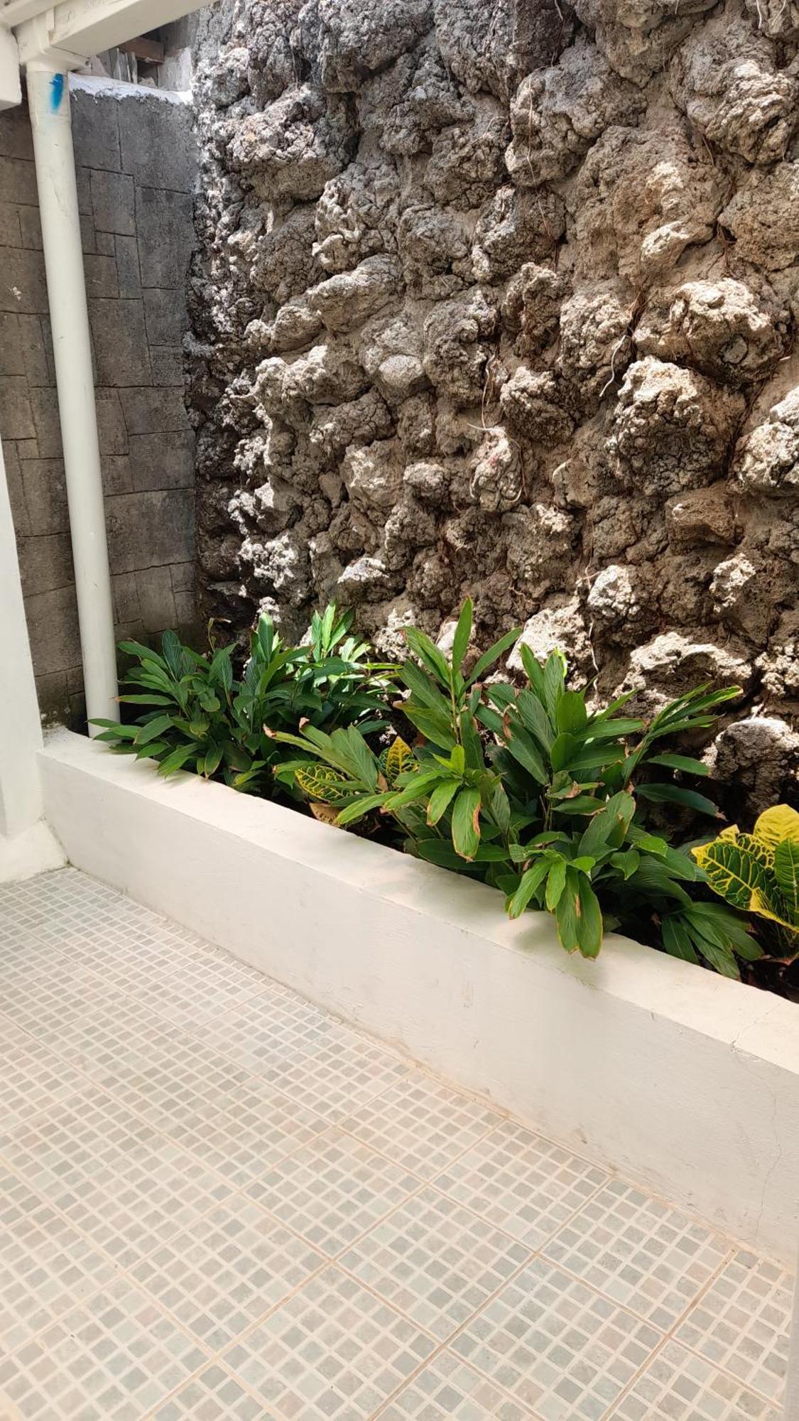 Managua Inn Habitación foto